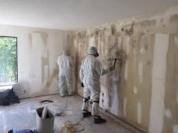 Asbestos and Lead Testing During Mold Inspection in San Diego, CA